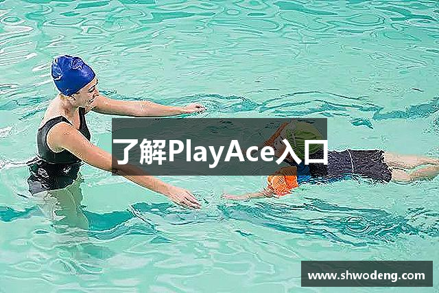了解PlayAce入口